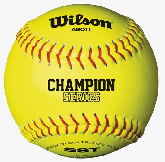 WTA9011BSST GAME SOFTBALLS DOZEN PRICE